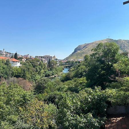 מוסטר Apartment Collina מראה חיצוני תמונה